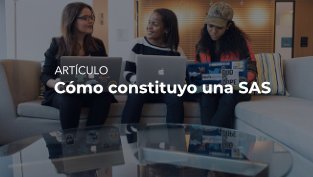 Artículo - Cómo constituyo una SAS